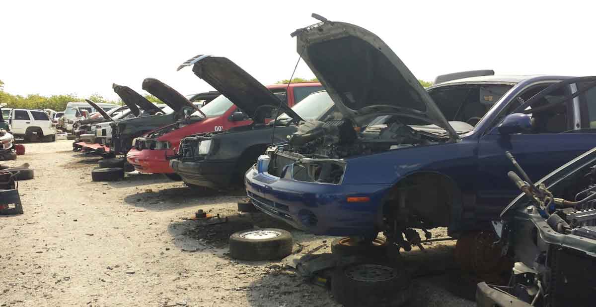 Junk cars from LKQ Pick Your Part - Clearwater Salvage yard at 12501 40th St N. Clearwater, FL 33762